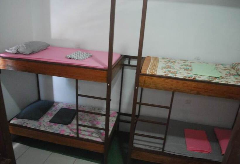 공동 객실, Passifloras Hostel