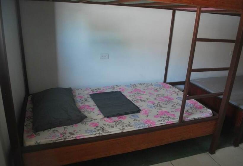 공동 객실, Passifloras Hostel