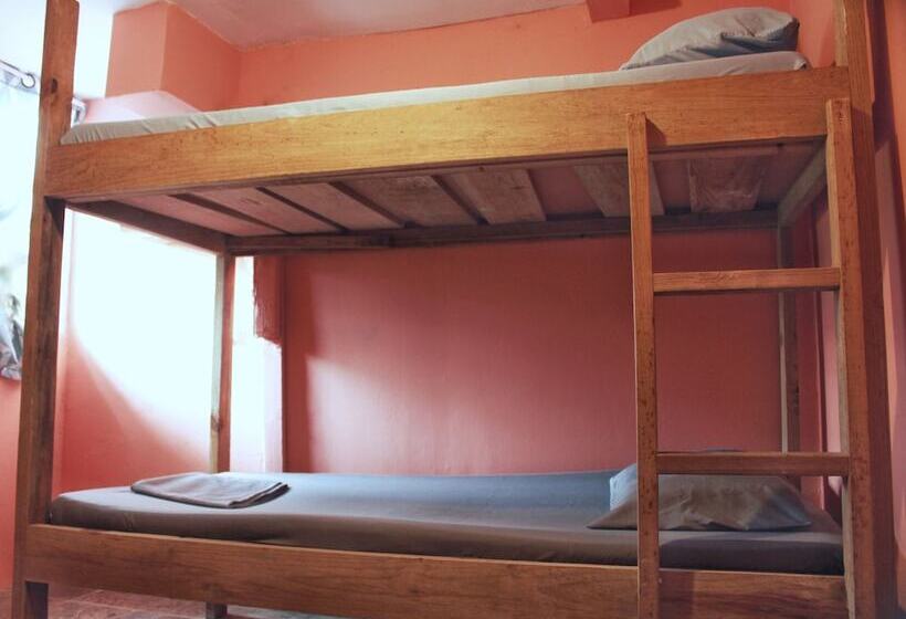 سرير فى غرفة مشتركه, Twin Fin Hostels