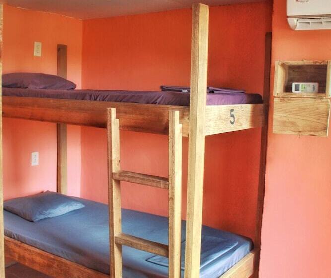 سرير فى غرفة مشتركه, Twin Fin Hostels