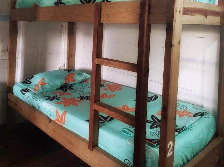 سرير فى غرفة مشتركه, Twin Fin Hostels