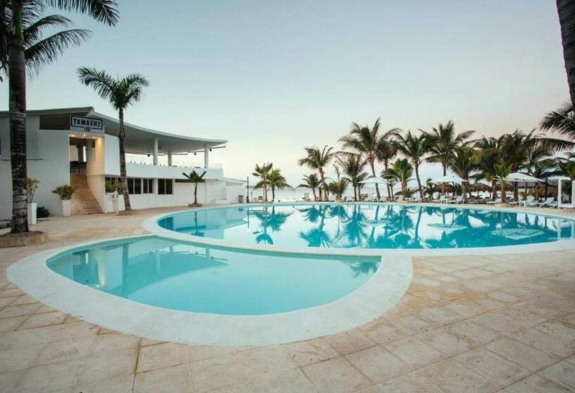 オーシャンビューのスーペリアトリプルルーム, The Million View Room Habitacion En Resort Solo Adultos