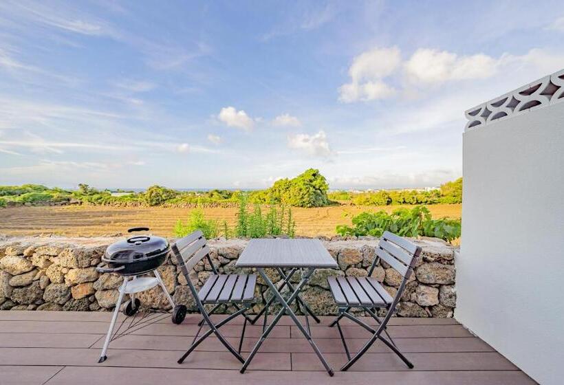 스탠다드 스튜디오, Jeju Geunalohu Pension