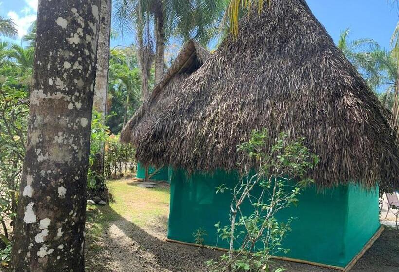 이코노미 룸, Mal Pais Surf Camp