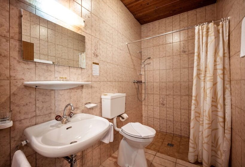 Номер Стандарт, Alpenhotel Edelweiss