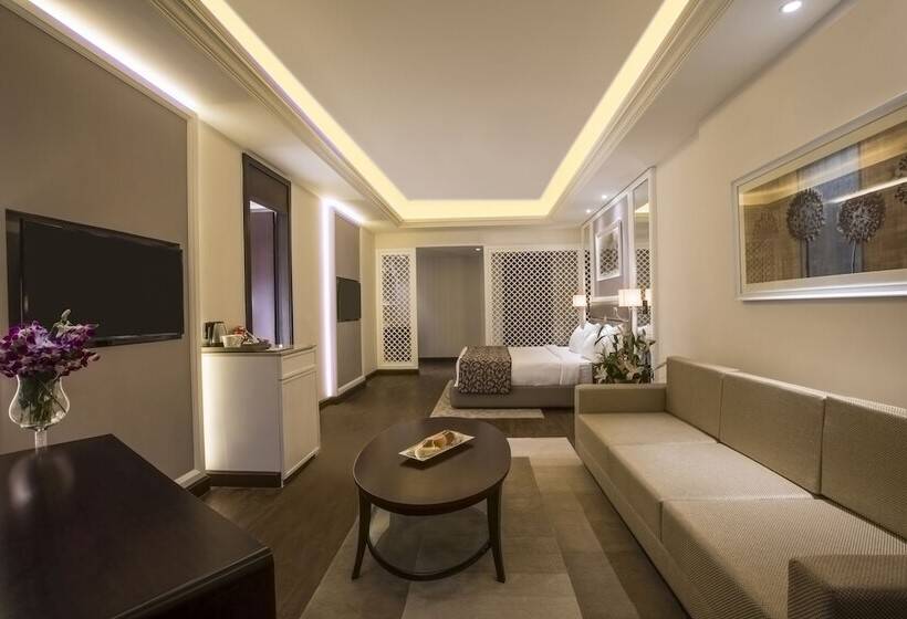 Полулюкс, Singhania Sarovar Portico