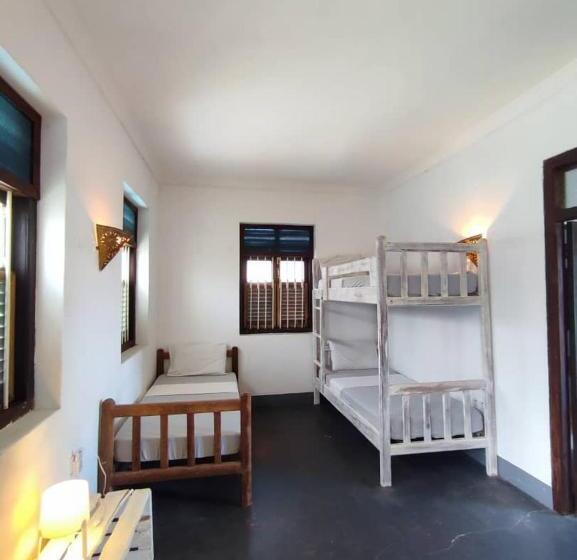 سوییت خانوادگی, Zlife Stone Town