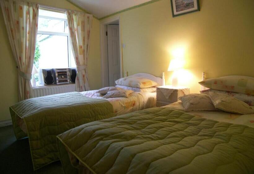 스탠다드 룸, Achill View B&b