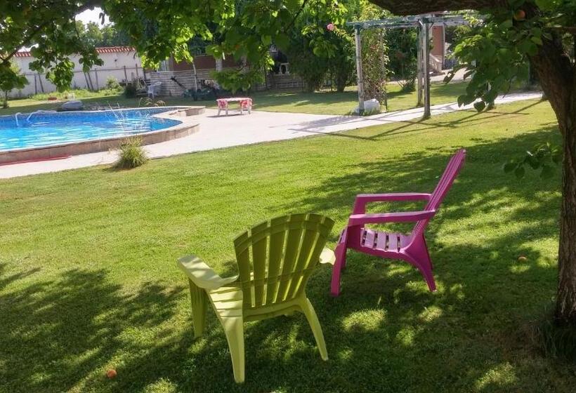 استودیوی استاندارد, Galeria In The Garden