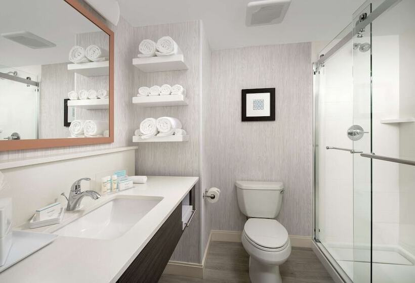 스탠다드 룸 킹사이즈 침대, Hampton Inn Marathon   Florida Keys