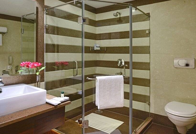 Номер Deluxe, Fortune Park, Haridwar   Member Itc S Hotel Group