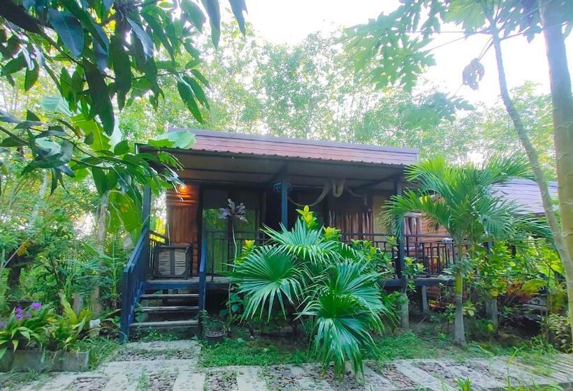 디럭스 룸, Kohmook Nurse House