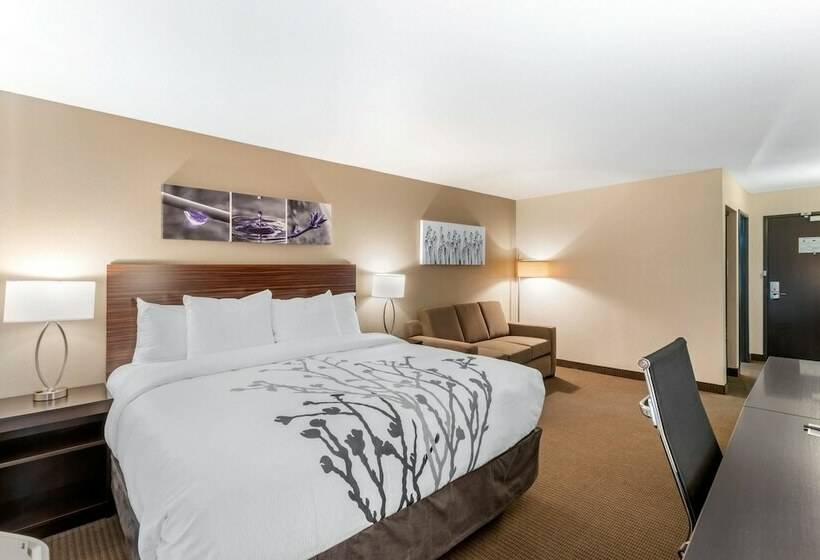スイート, Sleep Inn & Suites Denver International Airport