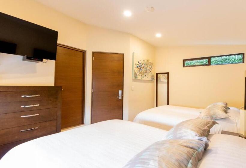 Quarto Familiar, Posada Xr