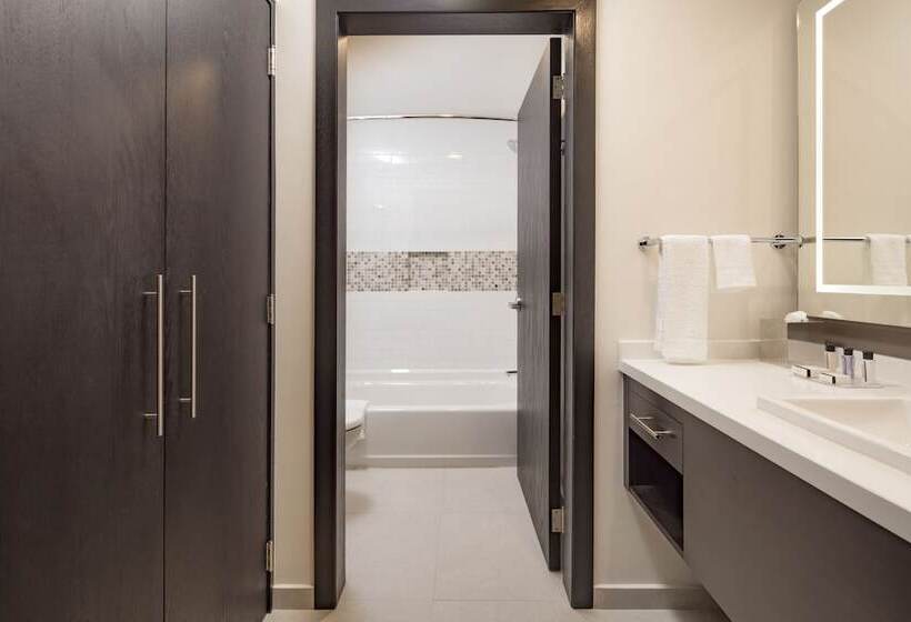スタンダードスタジオ, Staybridge Suites   Saltillo, An Ihg