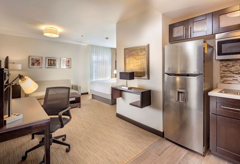 スタンダードスタジオ, Staybridge Suites   Saltillo, An Ihg