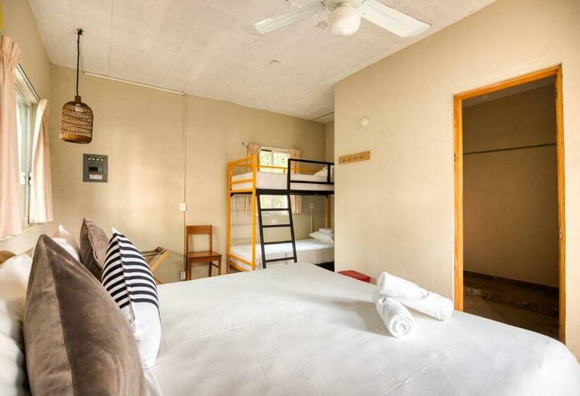 スタンダード４人部屋, Selina Puerto Escondido