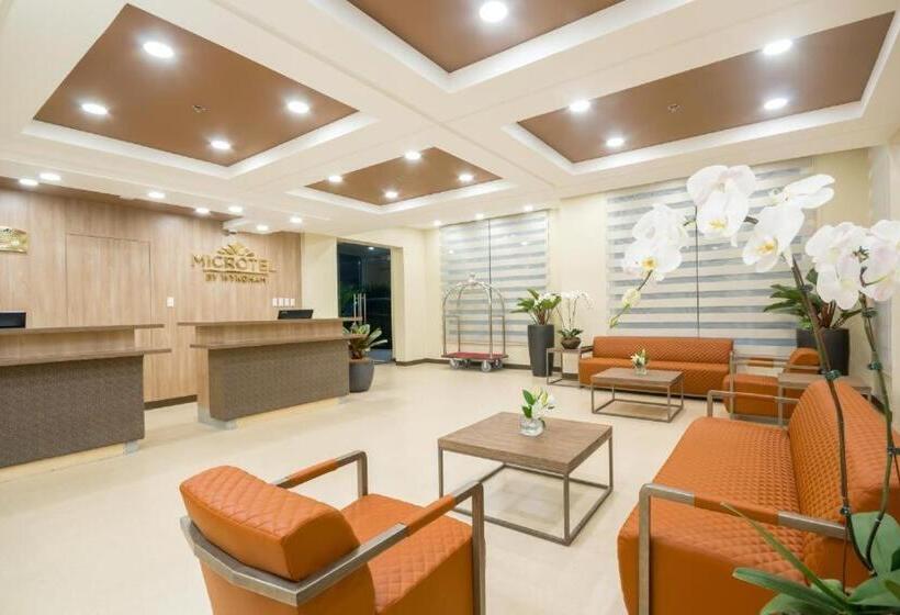 스위트, Microtel Inn & Suites By Wyndham San Fernando