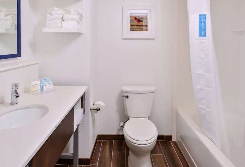 스탠다드 스튜디오, Hampton Inn Benson