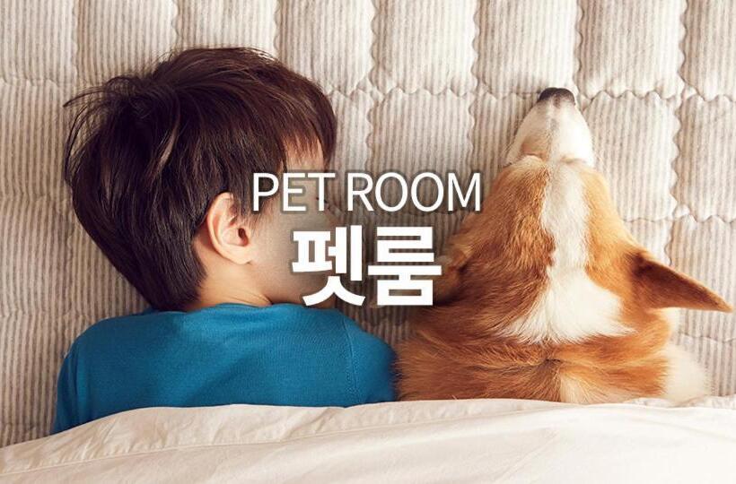 Номер Deluxe, Pyeongchang The White