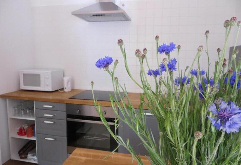 Apartamento 1 Dormitório, Gästehaus Elfriede