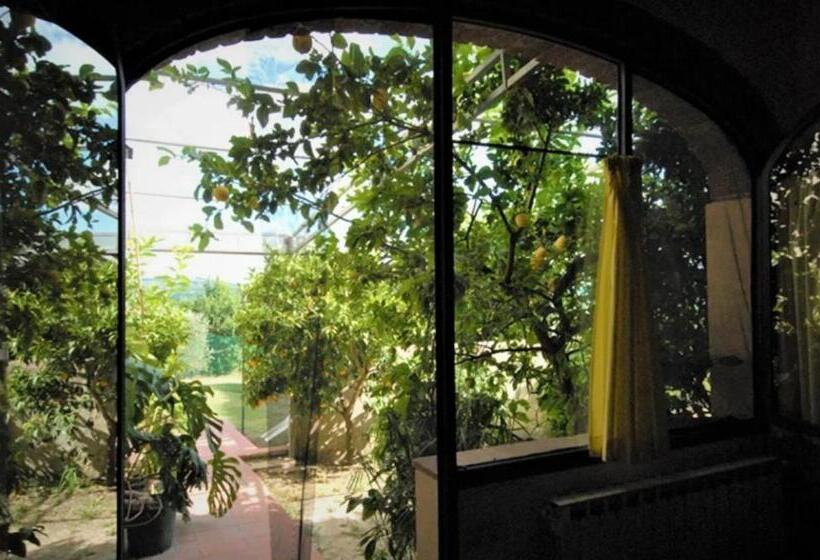 آپارتمان 3 خوابه, Agriturismo Le Ginestruzze