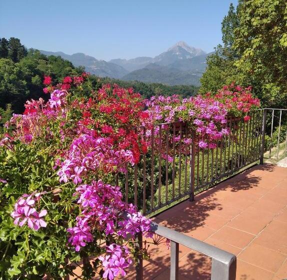 低层单卧公寓, La Vignola