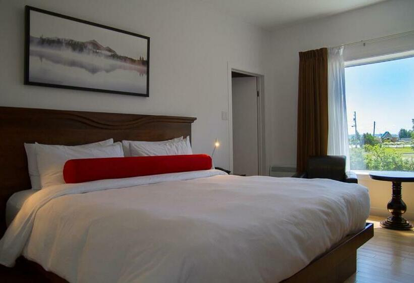 스탠다드 룸 킹사이즈 침대, Domaine Belle Plage