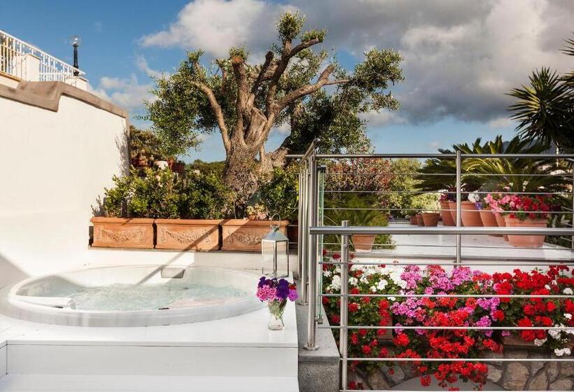 آپارتمان لوکس 2 خوابه, Ischia Blu Resort