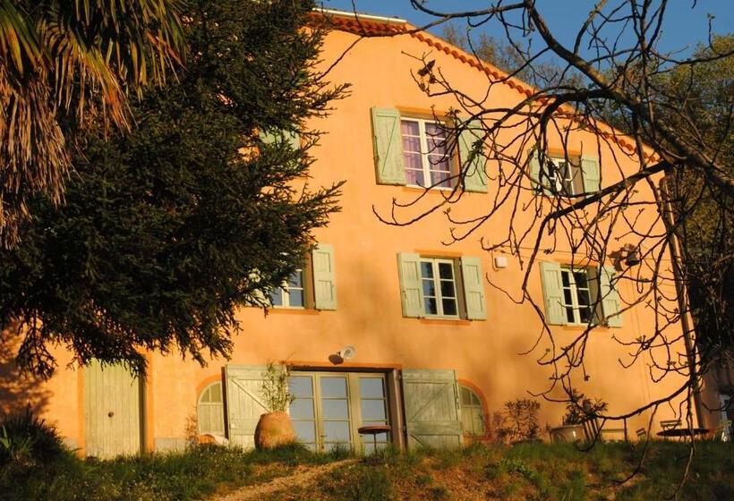 סוויטת ג'וניור, Domaine D Angouire