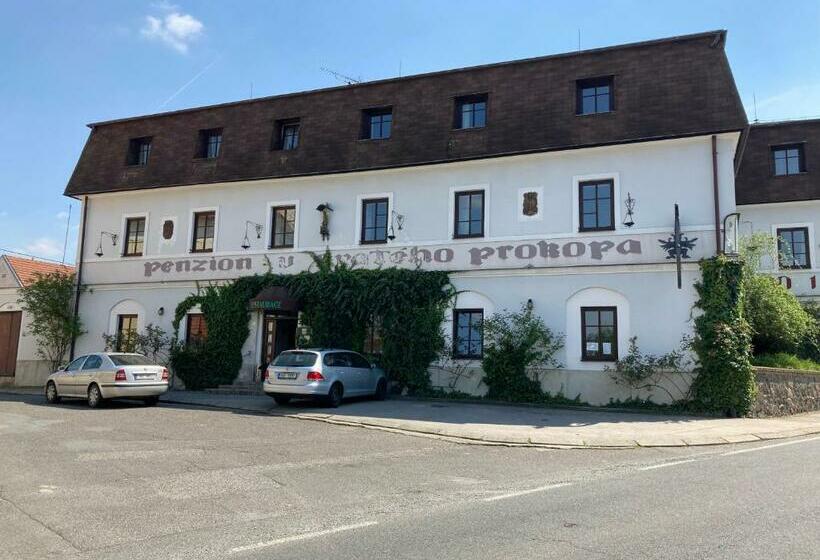 اتاق استاندارد, Pension U Sv. Prokopa