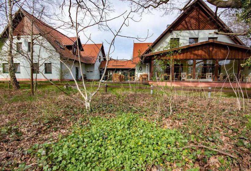 Номер Стандарт, Spreewälder Feriendomizil/pension