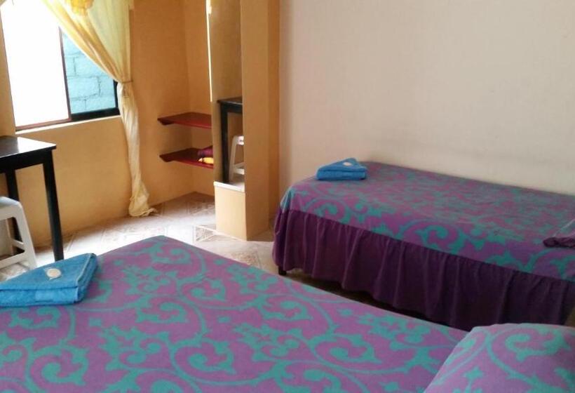 Номер Стандарт, Hostal Cerro Azul