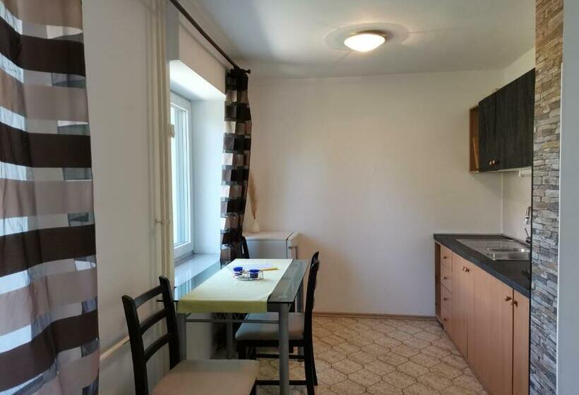 آپارتمان 1 خوابه, Apartments Silva