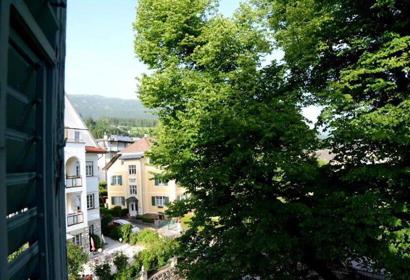 Номер Стандарт Вид на Парк, Villa Streintz