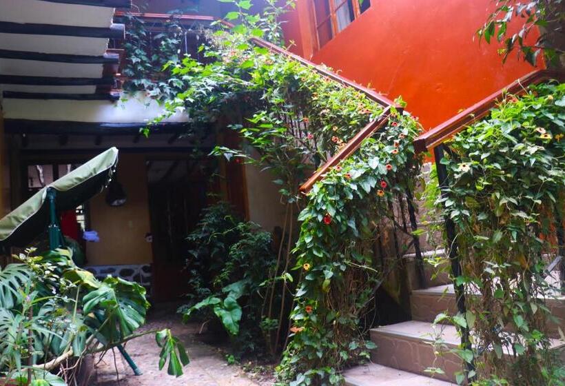 اتاق خانوادگی, Wayras Hostal