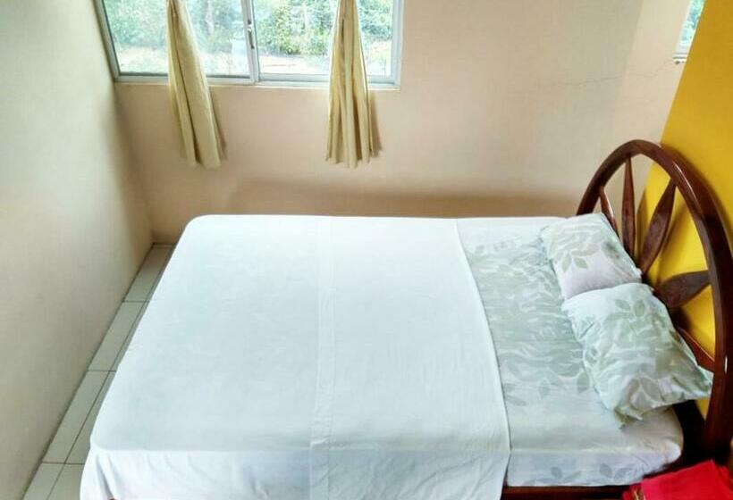 Номер Стандарт, Hostal Alcazaba