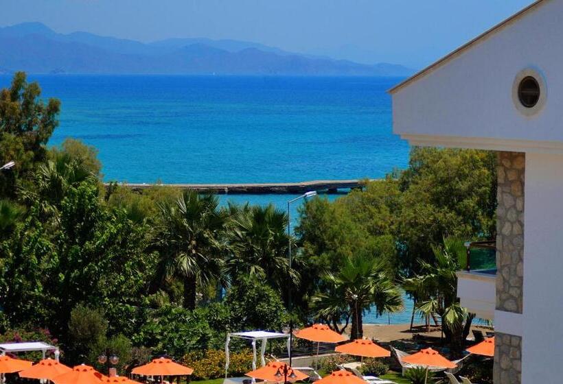 1 Bedroom Apartment with Terrace Sea View, Kaya Apart Datca