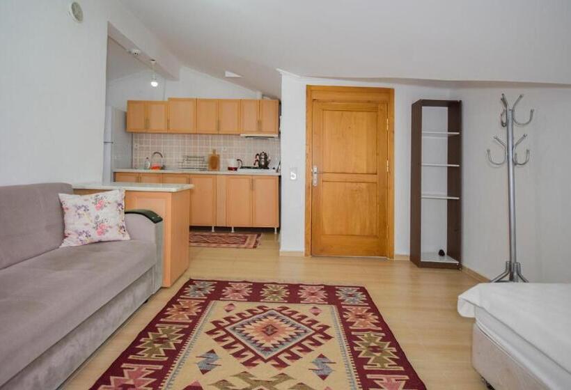 1 Bedroom Apartment with Terrace Sea View, Kaya Apart Datca