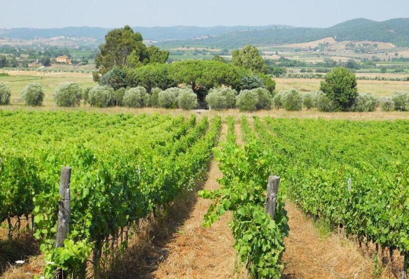 Апартаменты 3 Спальни, Podere Oslavia Az.agr.bio Giannini