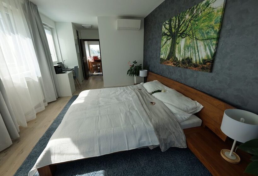 اتاق کلاس بیزنس, More Than Accommodation