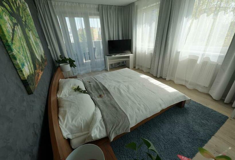 اتاق کلاس بیزنس, More Than Accommodation