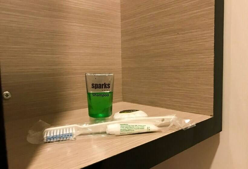 Superior Room, Alodia Hotel Bandar Lampung