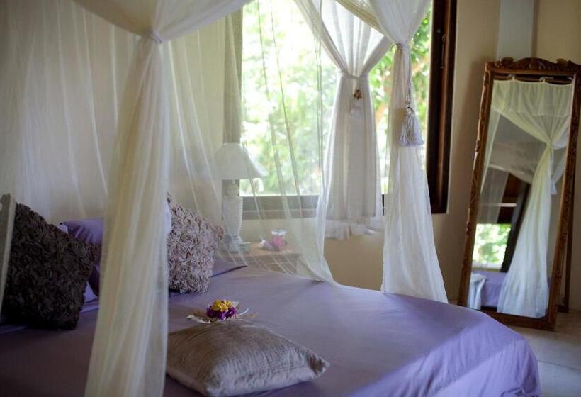 Номер Стандарт, Gaia Oasis Beach Resort