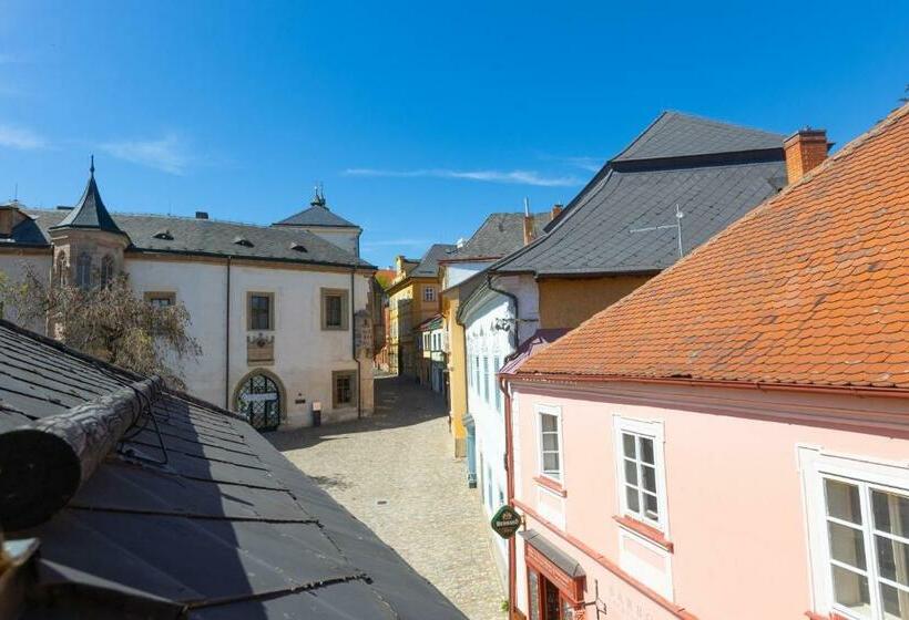 Номер Стандарт, Penzion U Hrádku