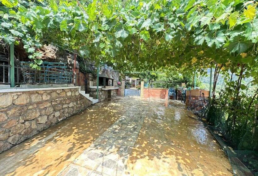 Семейный Номер Вид на Море, Boungainvillea