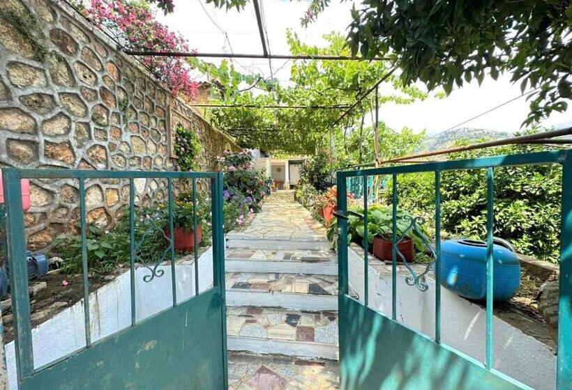 Семейный Номер Вид на Море, Boungainvillea
