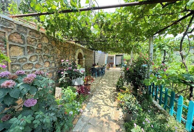 Triple Room Sea View, Boungainvillea