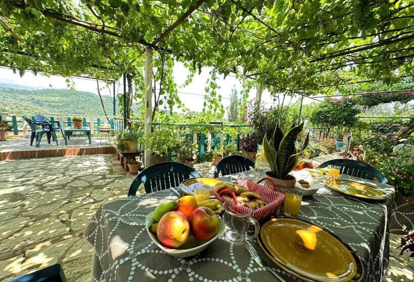 Family Suite, Boungainvillea