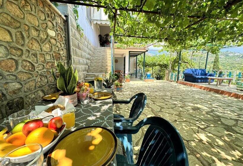 Family Suite, Boungainvillea